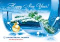 Best wishes for an excellent and successful New 2012 Year!  